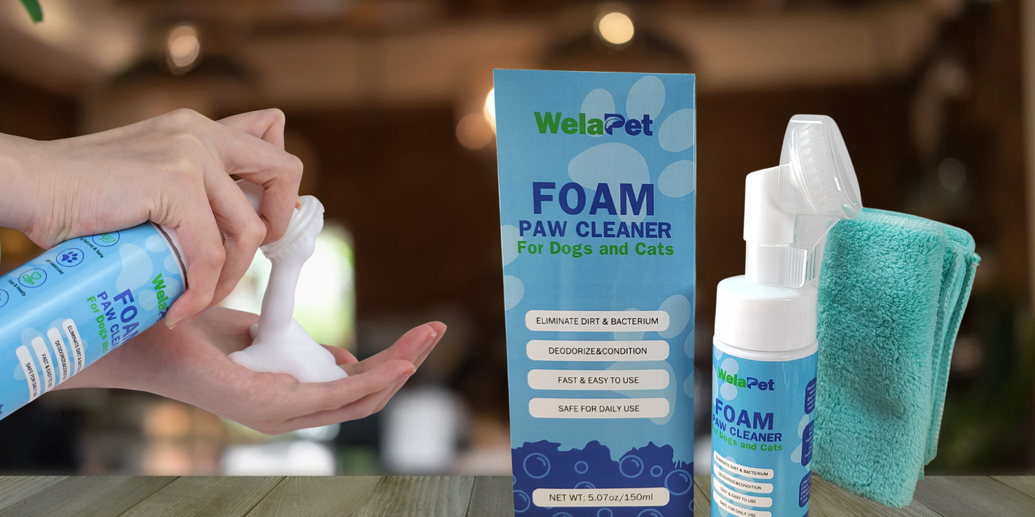 Foam Paw Cleaner