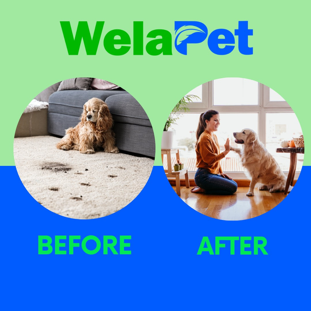 Welapet, Foam Paw Cleaner for Dogs and Cats, Free Fragrance, 5oz